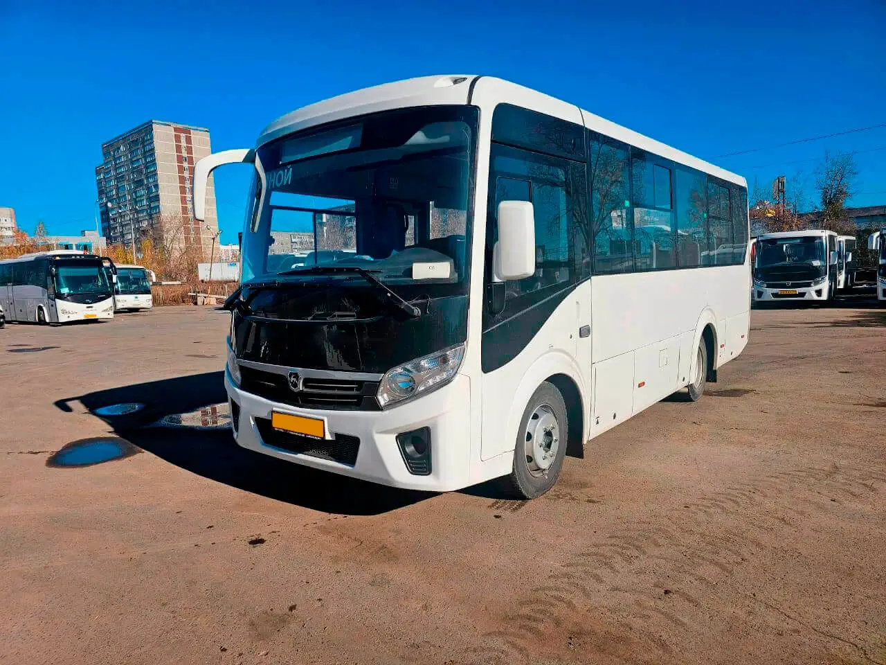 ПАЗ Вектор Next на 30 мест арендовать